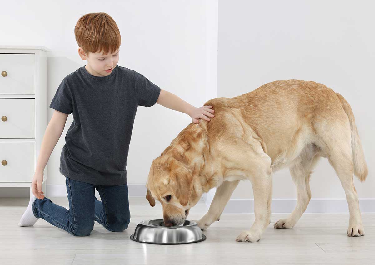 L’apprentissage de la responsabilité : impliquer votre enfant dans les soins de l’animal